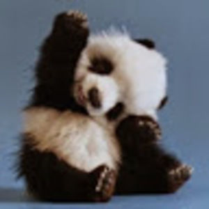 Meet your Posher, Meghann